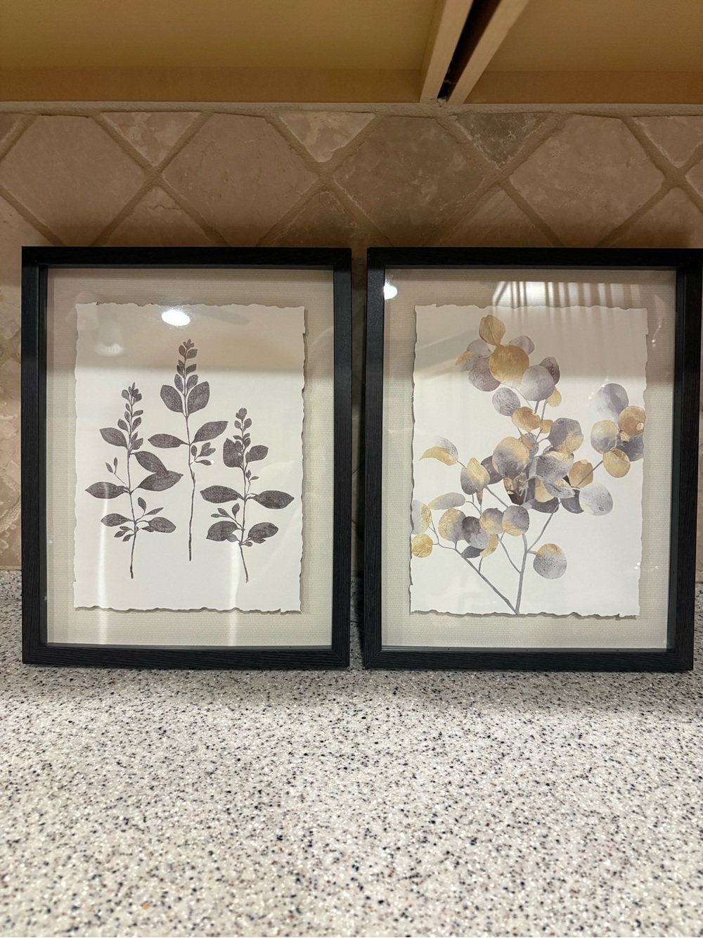 Neutral Eucalyptus / Flower Framed Canvas Prints behind Glass Set of 2